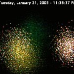 Newt says… Naptime! I want a siesta!