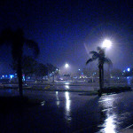 8017 – friday night out 12/16/05