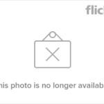 8737 – Chris’s B’day Party