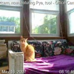 8845 – Wednesday