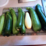 8894 – yummy from our garden (pic and picked by bhk)