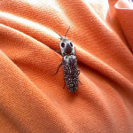 8906 – Saturday – 07/07/07!