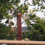 8920 – Wednesday