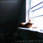 9388 – wednesday