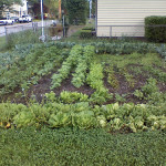 garden!