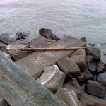 downsized_1018091416.jpg