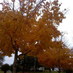 downsized_1024091449.jpg