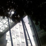 0806001344.jpg