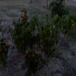 0909001932.jpg