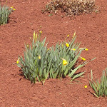 springtime is coming!