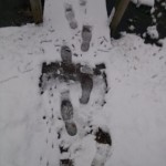 Snow day