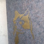 Annapolis graffiti