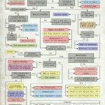 Time travel movie flowchart
