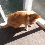 Porch time