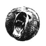 Bearsphere