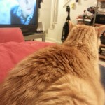 Newton watches Sherlock