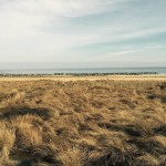 Our neighbor- the bay #blessings #chesapeakebay #yoga #pancha #motherearth