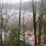 Smoke sitting over the marsh after a snowy rainy few days. I love this picture #nature #smoke #mobilephotography