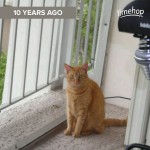 Newton, a decade ago, in Florida back when we were both bachelors. We’re both older and better off now.