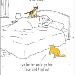 RT Tumblr @tumblr: Concerned cats. https://t.co/E2ESSaSIe9 https://t.co/e86UFeC12E