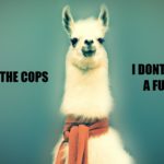 call the cops. I don’t GAF.