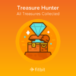 Fitbit goodie