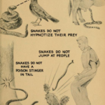 Things snakes do not do