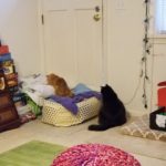 Misc update