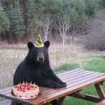 Happy birthday to me!