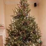 Phase iii tree