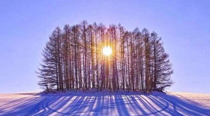 Bluesky update on December 21, 2024 at 10:49 am