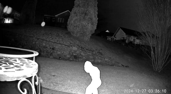 Bluesky update on December 27, 2024 at 8:55 pm